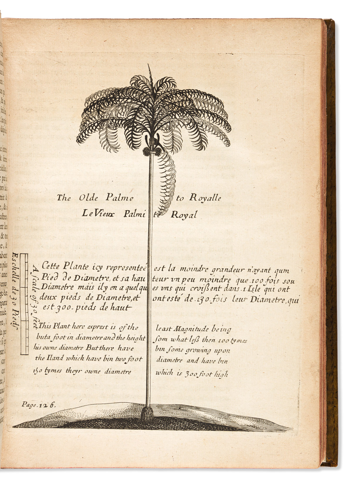 Justel, Henri ed. (1619-1693) Recueil de Divers Voyages Faits en Afrique et en lAmerique.